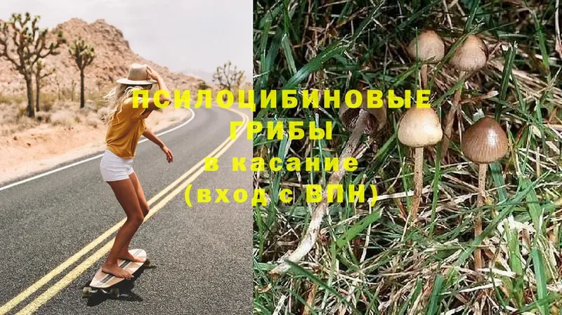 ОМГ ОМГ маркетплейс  Ульяновск  Галлюциногенные грибы Psilocybine cubensis 